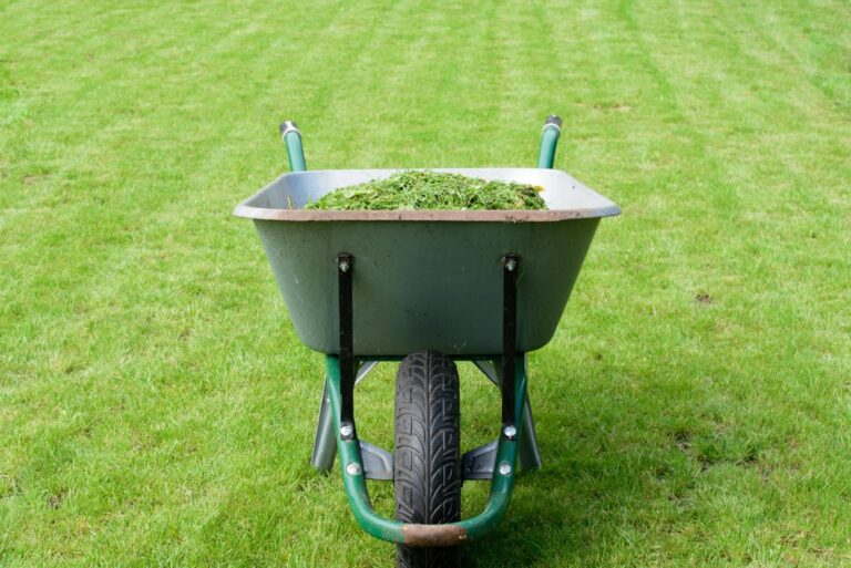 Green waste removal